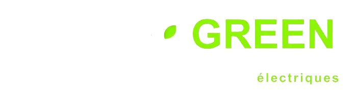 lease green logo